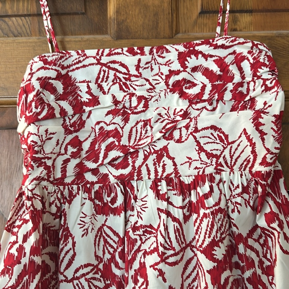 Express Dress - Picture 2 of 4